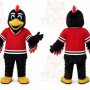 Black Bird Mascot Costume for Sports Events