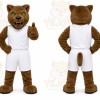 Brown Big Cat Mascot Costume for Sports Events