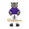 Gray Wolf Mascot Costume for Sports Events