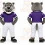 Gray Wolf Mascot Costume for Sports Events