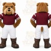 Brown Bulldog Mascot Costume for Sports Events