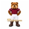 Brown Bulldog Mascot Costume for Sports Events Brown Bulldog Mascot Costume for Sports Events
