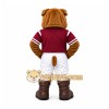 Brown Bulldog Mascot Costume for Sports Events Brown Bulldog Mascot Costume for Sports Events