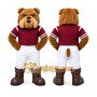 Brown Bulldog Mascot Costume for Sports Events
