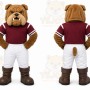 Brown Bulldog Mascot Costume for Sports Events