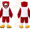 Red Bird Mascot Costume for Sports Events
