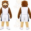Brown Eagle Mascot Costume for Sports Events