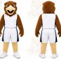 Brown Eagle Mascot Costume for Sports Events