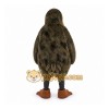 Brown Kiwi Bird Mascot Costume for Events and Promotions