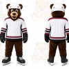 Brown Bear Mascot Costume for Events and Promotions