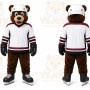 Brown Bear Mascot Costume for Events and Promotions