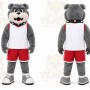 Gray Bulldog Mascot Costume for Events and Promotions