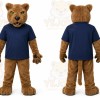 Brown Cougar Mascot Costume for School Events