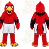 Red Bird Mascot Costume for Sports Events