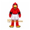Red Bird Mascot Costume for Sports Events Red Bird Mascot Costume for Sports Events