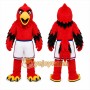Red Bird Mascot Costume for Sports Events
