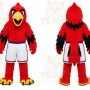 Red Bird Mascot Costume for Sports Events
