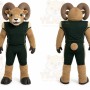 Brown Ram Mascot Costume for Sports Events