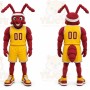 Red Ant Mascot Costume for Sports Events