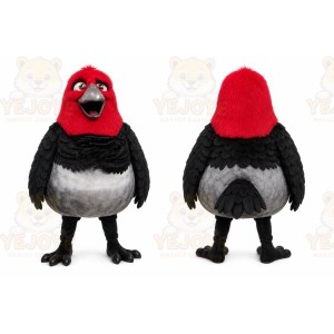 Red Bird Mascot Costume for Sports Events