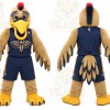 Brown Bird Mascot Costume for Sports Events