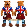 Brown Bulldog Mascot Costume for Events and Promotions Brown Bulldog Mascot Costume for Events and Promotions