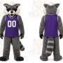 Gray Raccoon Mascot Costume for Sports Events
