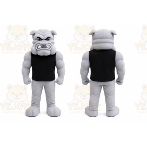 Gray Bulldog Mascot Costume for Sports Events