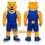 Yellow Bear Mascot Costume for Sports Events