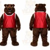 Brown Bear Mascot Costume for Sports Events