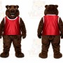 Brown Bear Mascot Costume for Sports Events