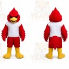 Red Bird Mascot Costume for Sports Events