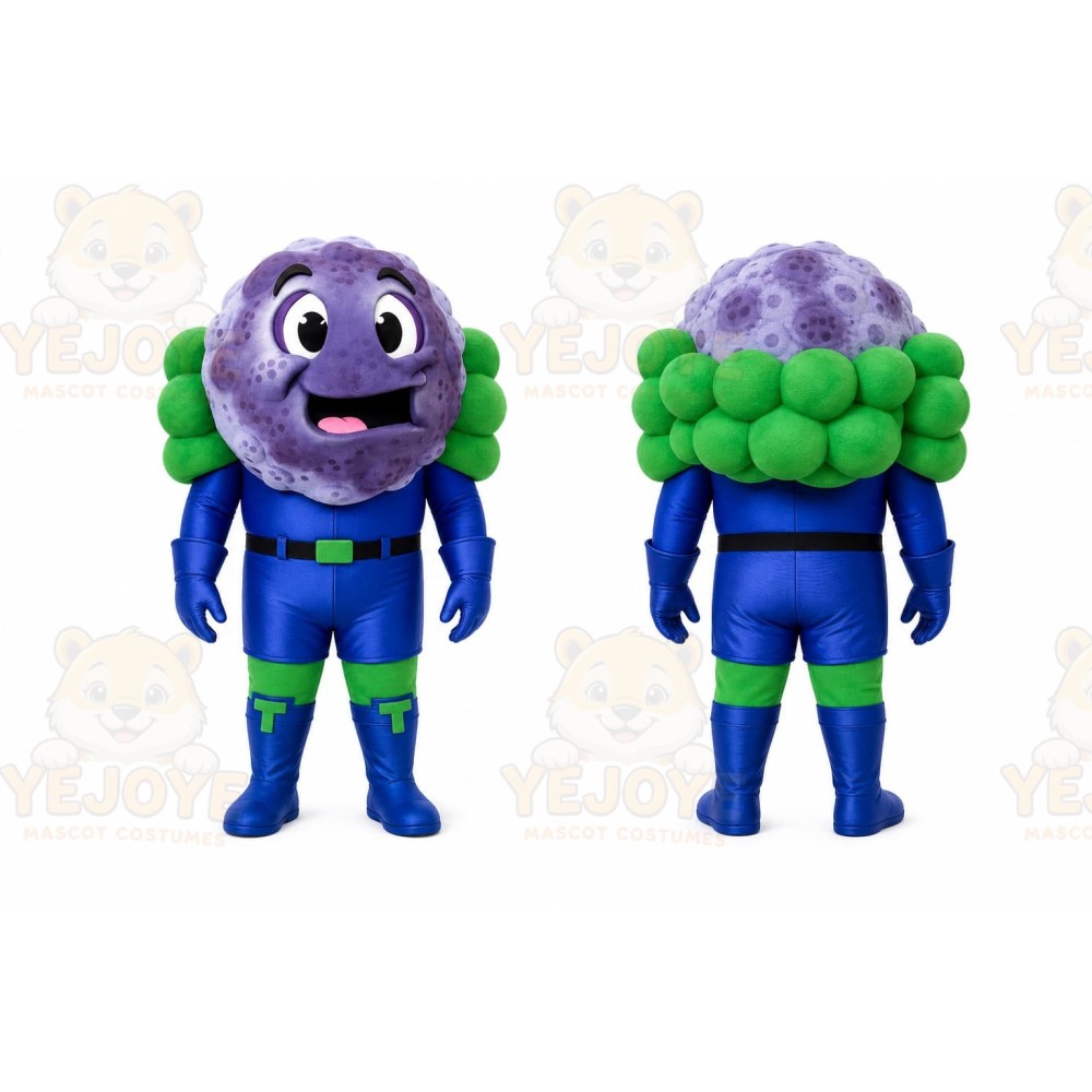 Purple Fruit Mascot Costume for Events and Promotions