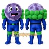 Purple Fruit Mascot Costume for Events and Promotions Purple Fruit Mascot Costume for Events and Promotions