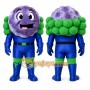 Purple Fruit Mascot Costume for Events and Promotions