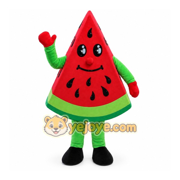 Fruit Watermelon Costume Cosplay Outfits Cartoon Mascot Costume
