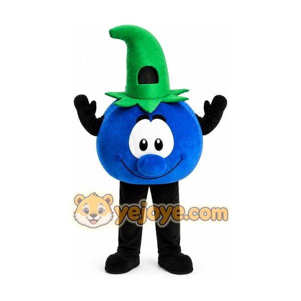 Halloween Blueberry Mascot Costume