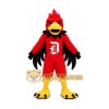 High School & College Team eagle hawk Mascot Costumes High School & College Team eagle hawk Mascot Costumes