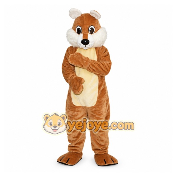 Mascot Brown Squirrel Mascot Costume