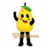 Pears Mascot Costume Pears Mascot Costume