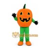 Professional Mascot Costume Pumpk
