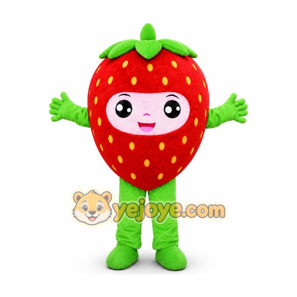 Strawberry Mascot Costume