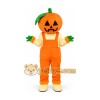 Pumpkin Mascot Costume