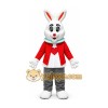 Rabbit Mascot Costume Rabbit Mascot Costume
