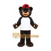 Black Bear in Baseball Cap Mascot Costume