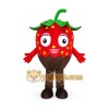 Strawberry Mascot Costume Strawberry Mascot Costume