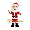 Santa Claus Mascot Costume