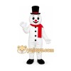 Snowman Mascot Costume Adult Cartoon Character