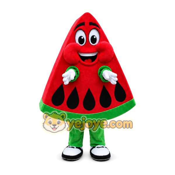 Waterlemon Mascot Costume Red Waterlemon