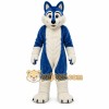 Blue Wolf _ Dog _ Husky Mascot Costume Blue Wolf _ Dog _ Husky Mascot Costume